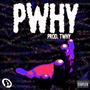 PWHY (Explicit)