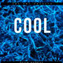 Cool (Explicit)