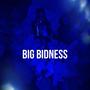 Big Bidness (Explicit)