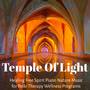 Temple Of Light - Healing Free Spirit Piano Nature Music for Reiki Therapy Wellness Programs with In