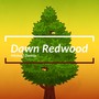 Dawn Redwood