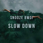 Slow Down