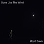 Gone Like The Wind
