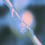 Apaga la luz (feat. XAIID) [Explicit]