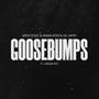 goosebumps (feat. Jordan Rys)