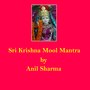 Sri Krishna Mool Mantra