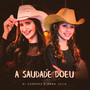 A Saudade Doeu (Acústico)