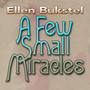 A Few Small Miracles