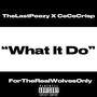 What It Do (feat. CeCeCrisp) [Explicit]