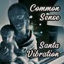 Common Sense / Santa Vibration