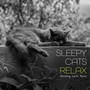 Sleepy Cats Relax