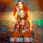 Tina Turner Tribute (Live)