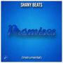 Shany Beats (Promises)