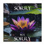 Sorry not Sorry (Explicit)