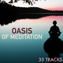 Oasis of Meditation - 35 Tracks for Mindfulness Meditation and Anxiety Relief Techniques, Relax Natural Sound Music