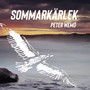 Sommarkärlek