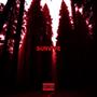 Survive (Explicit)