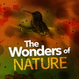 The Wonders of Nature