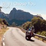 Why I Chose You (Radio Edit)