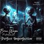 Perfect Imperfection (feat. Bruce Wayne) [Explicit]