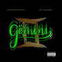 Gemini (Explicit)