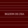 Bigodin de Cria (Explicit)