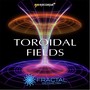Toroidal Fields