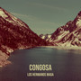 Congosa