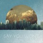 Say You Won't