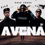 AVENA