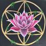 Sacred Lotus