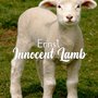 Innocent Lamb