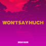 Won't Say Much (Explicit)