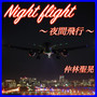 Night flight