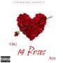 14 roses (Explicit)