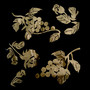 Artificial Flowers