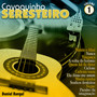 Cavaquinho Seresteiro, Vol. 1 (Instrumental)