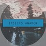 蛰 （Insects awaken）