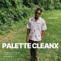 Palette Cleanx (Explicit)