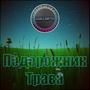 Подорожник Трава