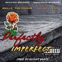 Perfectly Imperfect (feat. Nyke Ness) [Explicit]