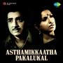 Asthamikkaatha Pakalukal (Original Motion Picture Soundtrack)