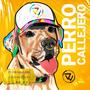 Perro Callejero