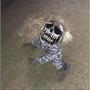 MUCK Prod. ghost/\/ghoul (Explicit)