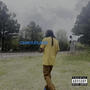 Camouflage (Explicit)