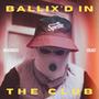 Ballixed in the club (Explicit)