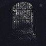 Fragments of Light