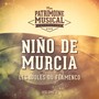 Les idoles du flamenco : Niño de Murcia, Vol. 1