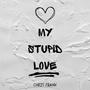 My Stupid Love