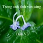 Trong anh tình vẫn sáng